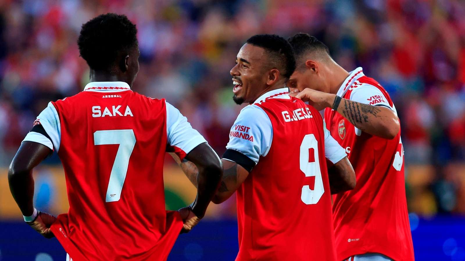 瑞士阵容 瑞士阵容